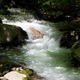 IMG_4595 - Version 2